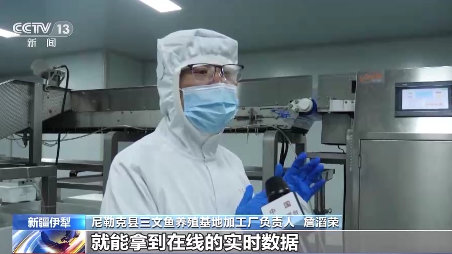 养鱼新模式了解一下 看沙漠边缘养&ldquo;海鲜&rdquo;是如何做到的